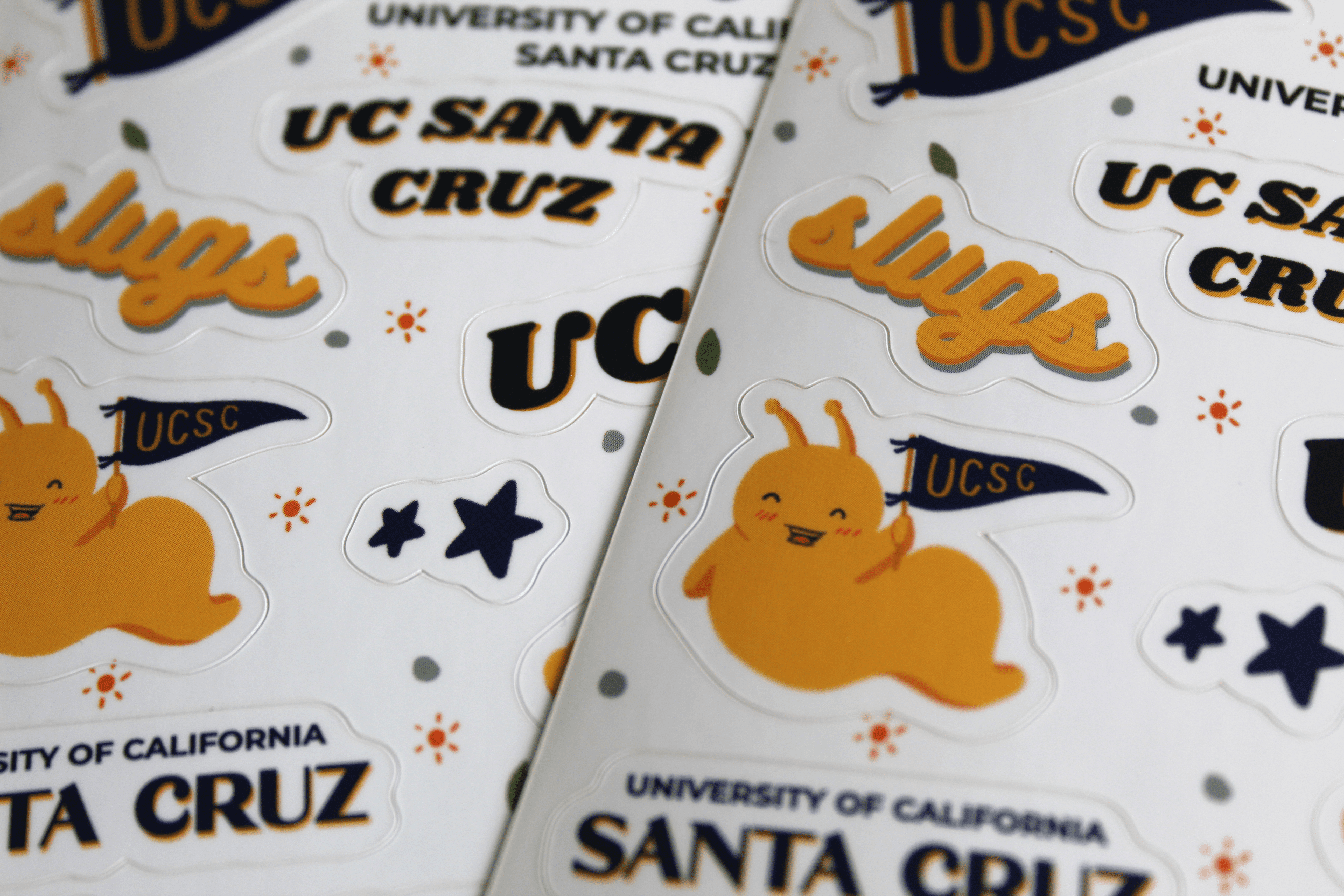 UC Santa Cruz Sticker Sheet Lanky Noodles