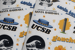 Load image into Gallery viewer, UC Santa Barbara Sticker Sheet
