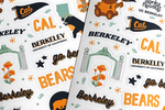 Load image into Gallery viewer, UC Berkeley Sticker Sheet
