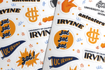 Load image into Gallery viewer, UC Irvine Sticker Sheet
